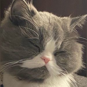 Meet your Posher, Kaelyn